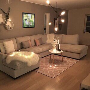 Amazing Fun Dog Decorations Art Poster (Unframed) (Chihuahua 12"x12" (30x30cm))